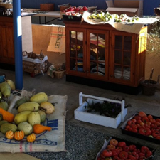 woodwynn FARMS