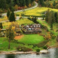 beautiful, gourmet, music, food, wine