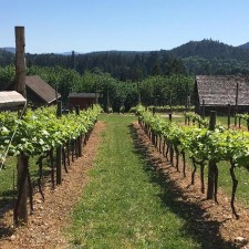 Cowichan behind the scenes tour, nanaimo wine tour, craft wine tour, canadian craft tours