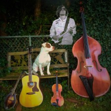 music, musician, singer, folk, rock