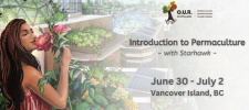 Permaculture, Education