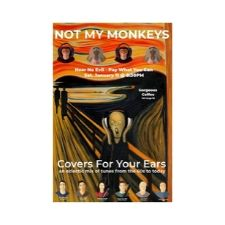 music, guitar, live, melodica, flute, not my monkeys, victoria