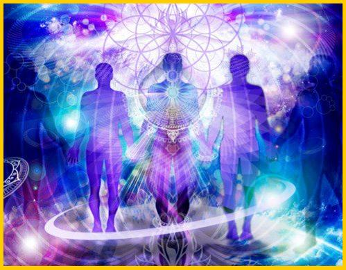 Transform, Lifehouse, Chiropractic, Chiropractor, Nanaimo, Dr. Norm, health, healing, wellbeing, evolution, conscious, chiropractor