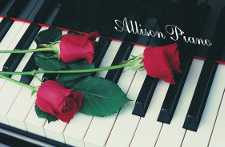 grand piano,music,concert,romance,jazz,Allison piano,Victoria, Hermann's,