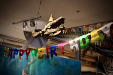 Elasmosaur, Birthday, Musuem, Bc, Courtenay and District Museum,