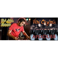 Music, Live, Nanaimo, DJ All Good, wax organix, Apex Dubb, The Globe, Electronic, Dj, ghetto funk, scratching, restaurant, food, local, craft beer.