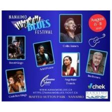 festival, music festival, blues, blues fesival, dancing 