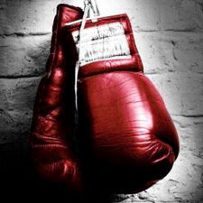 bronze gloves, boxing, parksville, championship, road to glory