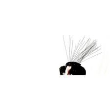 Photo, Dance, Choreography