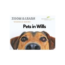 Pets, Wills, Animals, Personal Planning