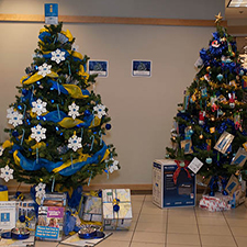 trees, Christmas, Festival, Display