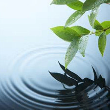 beginner, learning, ayurveda, holistic, healing, yoga, mediation, health, wellness, workshop, interactive, moksha