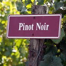 Wine, food, tasting, pairing, pinot noir, culinary, somalier