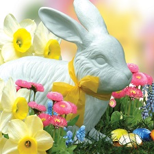 Easter, Easter Bunny