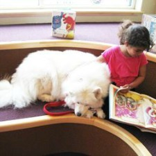 children, kids, reading, therapy dogs