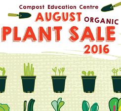 plant sale, plants, vegetables, gardening, garden, veggie starts, organic