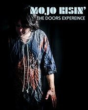 music, classic rock, tribute band, the doors, live music