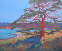 Arbutus, landscape, original acrylic, Caroline Hunter, west coast scenery