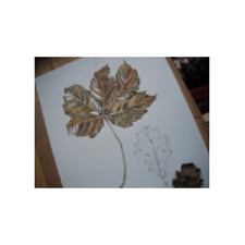 art, drawing, nature