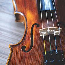 viola, strings, concert, music, uvic