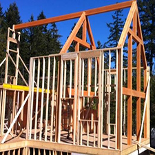 sustainability, forest living