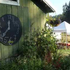 mad hatter tea party, teafarm, cowichan tea