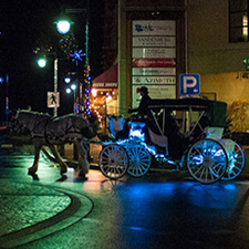 Horse, Carriage, tours