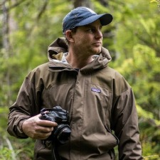 McAllister, Pacific Wild, Wild ARC, auction