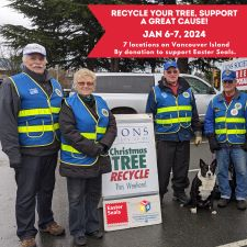 Tree Chipping, Tree Recycling, Christmas Tree