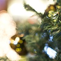 christmas, brunch, dinner, family