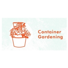 gardening, container, plants, food, sustainability