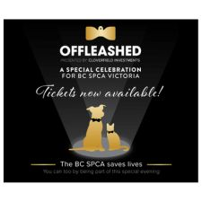 BC SPCA, Animals, Dogs, Cats, Charity, Fundraiser, Community, Gala, Support