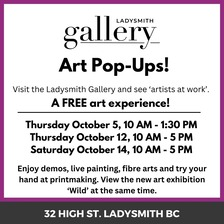 free, free event, free art event, art gallery, art, central island, ladysmith, art kits, demos, interactive art