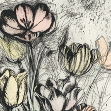 art, art classes, art courses, art school, drawing, pencil, ink, watercolour, plants, flowers, nature, Expressive Plant Drawing