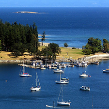beaches, birds, history, walking tour, guide