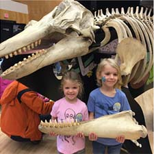 whales, tofino, ucluelet, killer whales, build a whale, spring break, tofino events, tofino bc 