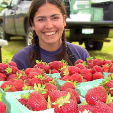 strawberries