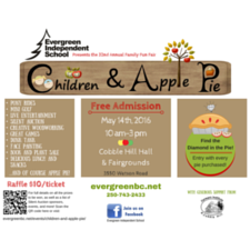 Fun, Fair, children, kids, families, pony rides, pie, diamond, games, free, auction, sale