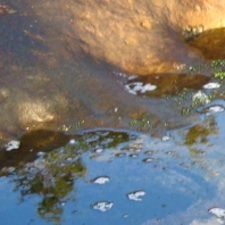 Deep listening, nature, sound, energy, creativity, lila music centre, tina pearson