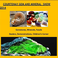 family, children, community, craft fair, trade show.