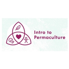 permaculture, plants, gardening, garden, workshop