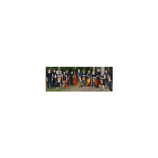 classical music, strings, concert,  chamber orchestra