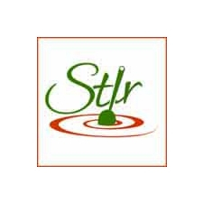 food, cooking, tacos, tequila, Mexican, culinary, nutrition, vegetarian, fish