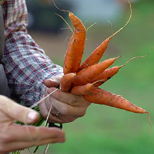 Nanaimo History, Urban Farming, Local Food