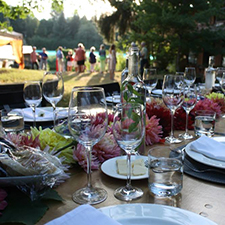 winery, gourmet dinner, wine, dining events