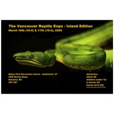The Vancouver Reptile Expo 2024