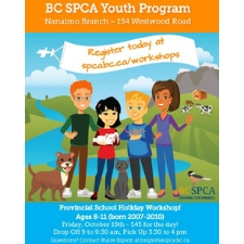 kids, fun, camp, animals, cats, dogs, rabbits, crafts, workshop, games, pro d