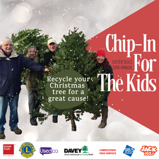 Christmas Tree, Charity, Recycle, Easter Seals