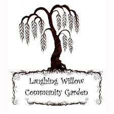 Kira DeSorcy, gardening, community garden, willow point, laughing willow