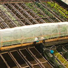 Farm, Farming, Urban Agriculture, Growing, Growers, Farmers, Agriculture, Workshops